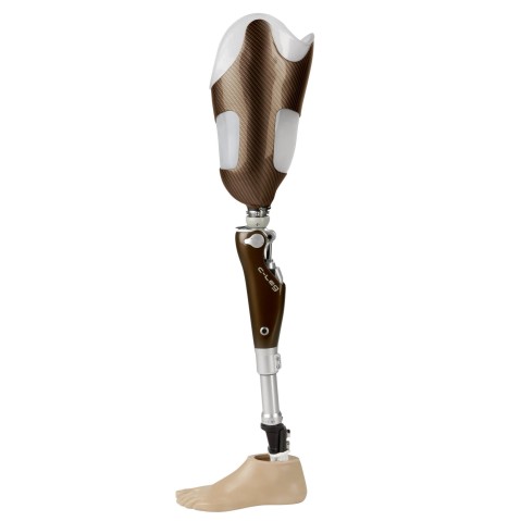 The microprocessor-controlled C-Leg